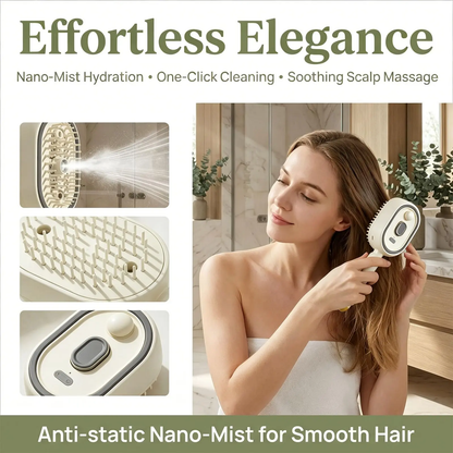 Electric Steam Massage Hair Brush