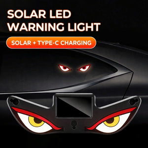 Solar Powered LED Eyes