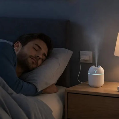 Portable Mini Humidifier