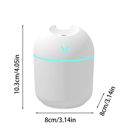 Portable Mini Humidifier