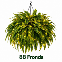 💥88 Fronds[3m / 30 Warm Lights + Iron Chain]