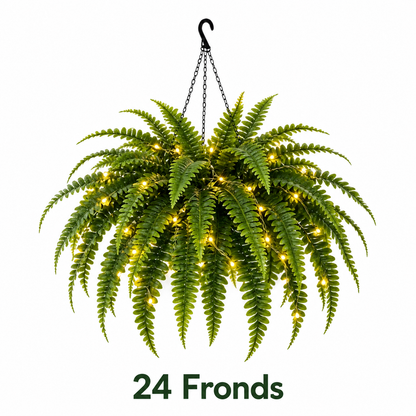 💛Glowing Boston Ferns with Lights – 🌿 Zero Watering, Zero Maintenance