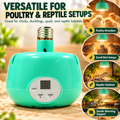 🐥Limited Time 50% OFF! 🌡️Smart Temperature Control Brooder Heater✨