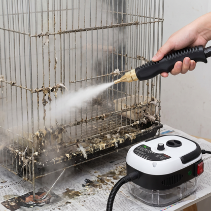 Portable Dry-Steam Cleaning System