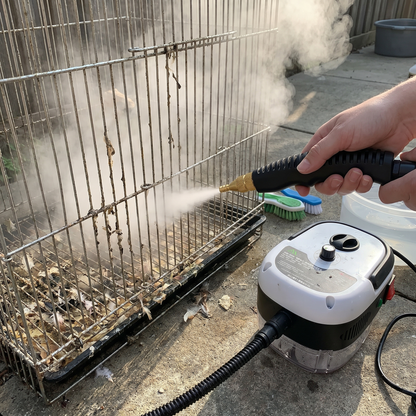 Portable Dry-Steam Cleaning System