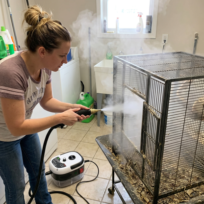 Portable Dry-Steam Cleaning System