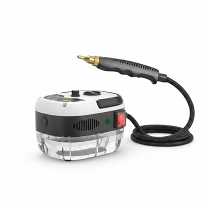 Portable Dry-Steam Cleaning System