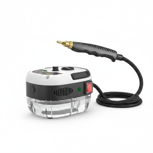 Portable Dry-Steam Cleaning System